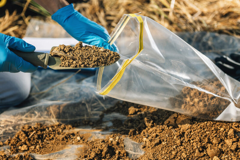 How Much Does a Soil Test Cost?